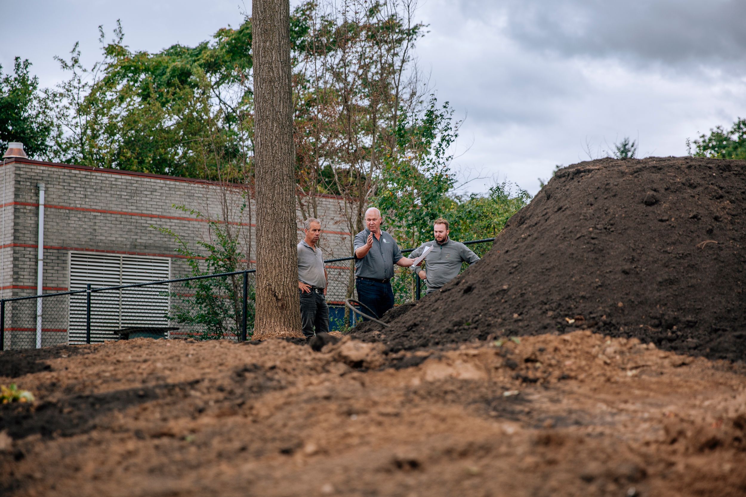 Tuinrenovatie